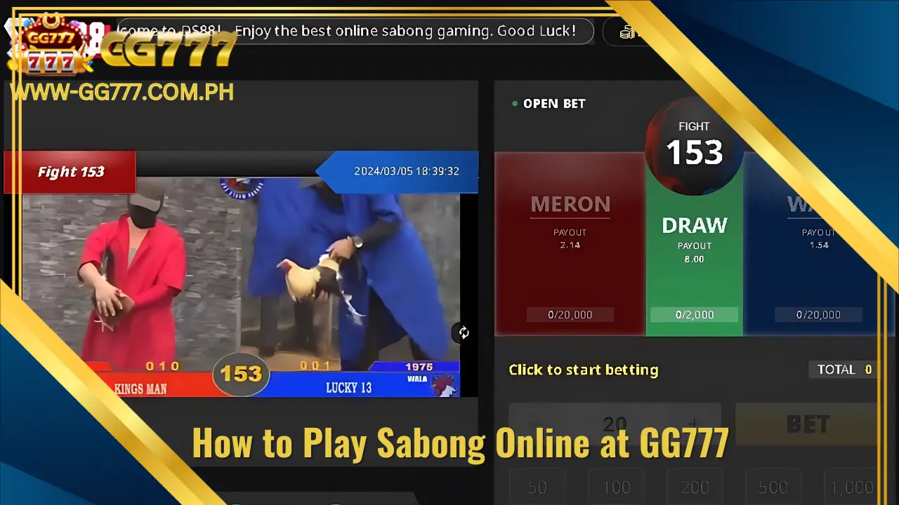 How to Play Sabong Online at GG777?